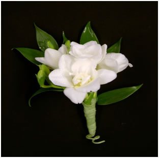 Orchids Boutonniere