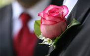 Rose Boutounniere Rose Boutounniere